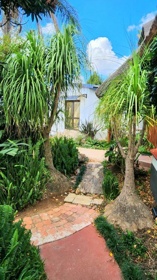 Lavender Villa Kempton Park Eksteriør billede